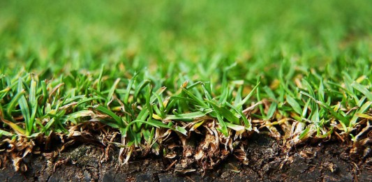 Дерновая земля - это специально подготовленный субстрат на основе дёрна, покрытого травой
