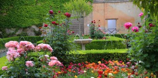 Мусульманский стиль сада — строгость линий и роскошь растений