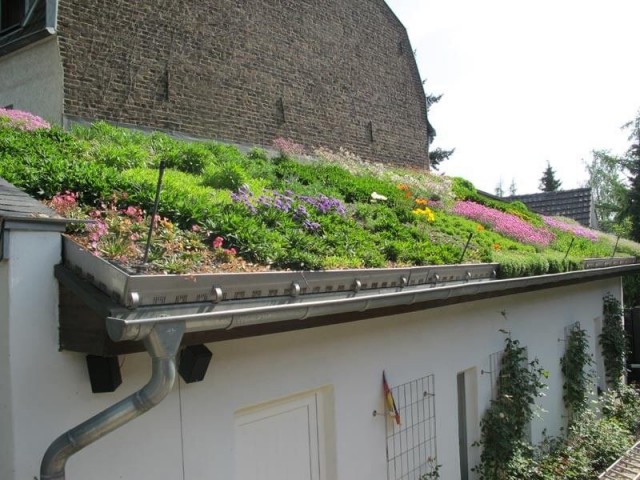 Для разбивки цветников с многолетниками на крыше нужно будет дополнительно выстелить ее защитным корнеизоляционным покрытием