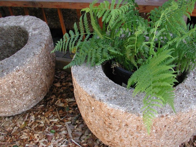 Растения лучше высаживать в дешевые пластиковые горшки, которые вставляют в каменные цветочницы