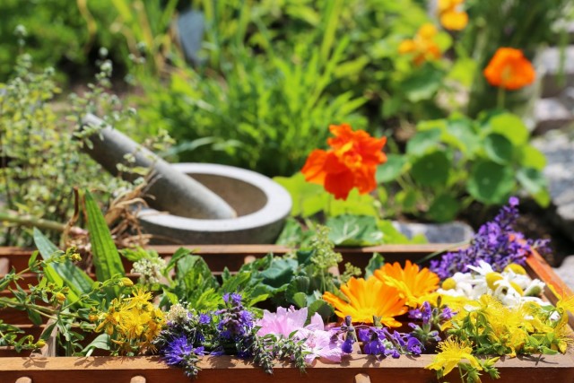 https://www.botanichka.ru/wp-content/uploads/2018/09/chaynyiy-tsvetnik-04.jpg «Чайный» цветник — клумба для выращивания пряных и лекарственных трав