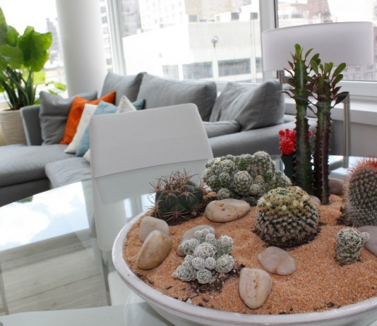 Сад камней в интерьере — особенности создания и выбор растений - Бонсай Сад камней в интерьере — особенности создания и выбор растений