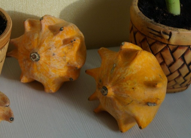 Сорт тыквы «Пальцефрукт» (Finger Fruit) Сорт тыквы «Пальцефрукт» (Finger Fruit)
