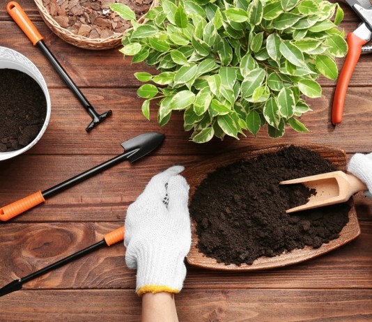 Почему для комнатных растений грунт нужно подбирать индивидуально - Грин Бэлт — урожай под защитой Разные растения в естественных условиях растут в разных по составу грунтах