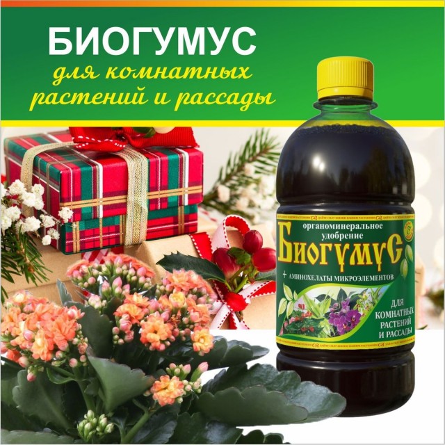 Органоминеральное удобрение «Биогумус для комнатных растений и рассады» Органоминеральное удобрение «Биогумус для комнатных растений и рассады»