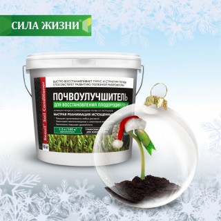 Почвоулучшитель «Реасил®» для восстановления плодородия почв Почвоулучшитель «Реасил®» для восстановления плодородия почв
