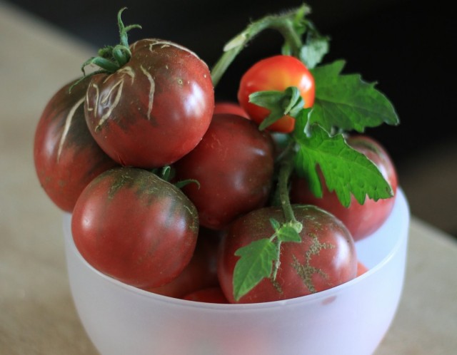 Сорт томатов «Черный крымский»