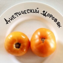Томат «Диетический здоровяк» Томат «Диетический здоровяк»
