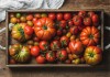 13 проверенных сортов томатов, которые я рекомендую посадить