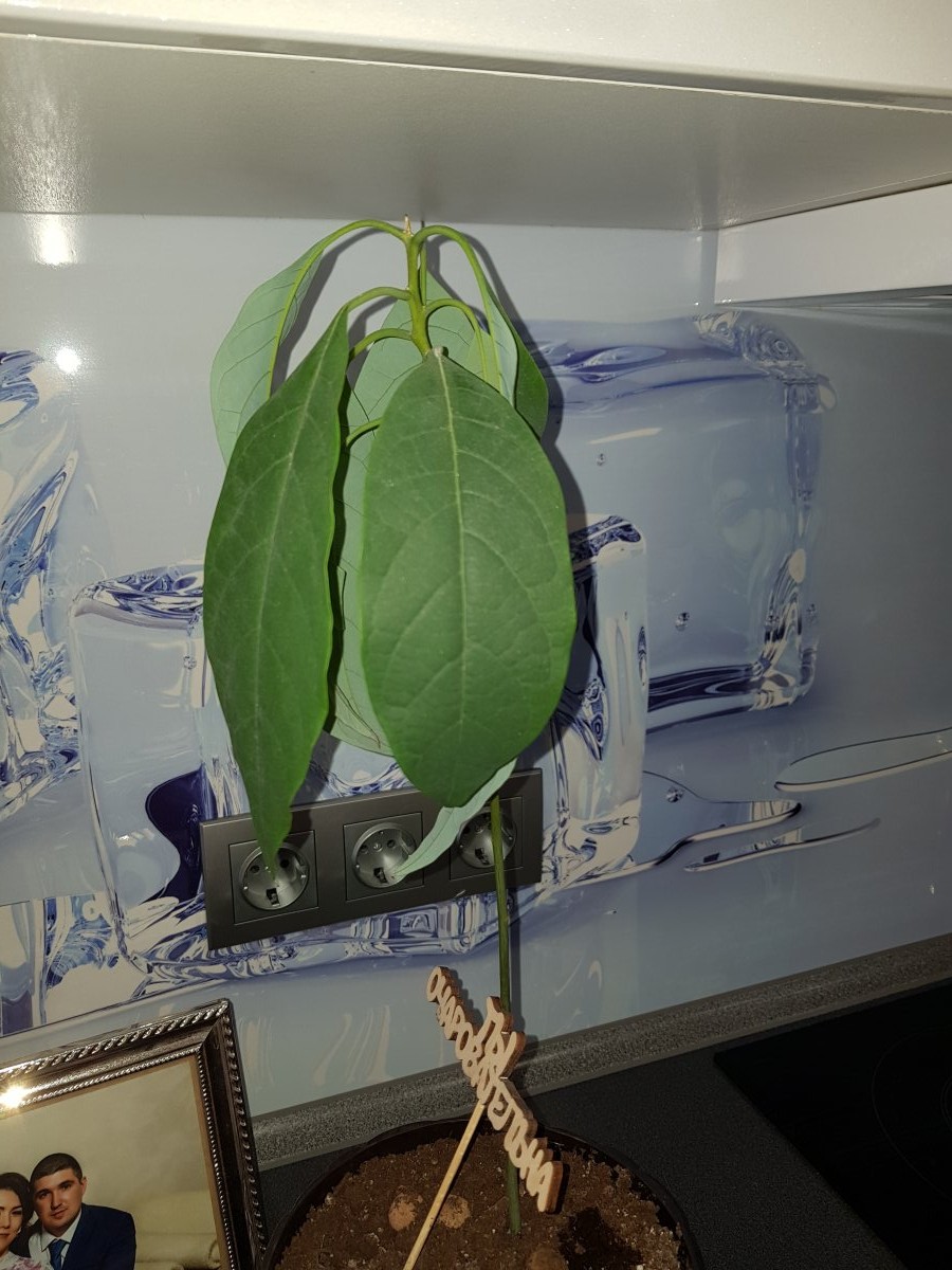 15483947317552375010975148955705