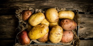 Почему гниёт картофель при хранении, и как этого избежать?