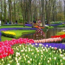 Каждый год выставка цветов в парке Кёкенхоф посвящена разной тематике