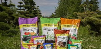 Какой должен быть грунт для рассады? - ООО «Лама Торф» Какой должен быть грунт для рассады?