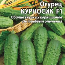 Огурец «Курносик» — обилие вкусных корнишонов! Идеален для консервирования! Огурец «Курносик» — обилие вкусных корнишонов! Идеален для консервирования!