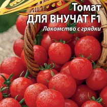 Томат «Для внучат» — урожайный! Не боится жары и засухи! Очень нравится детям! Томат «Для внучат» — урожайный! Не боится жары и засухи! Очень нравится детям!