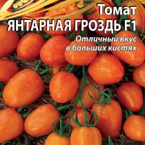 Томат «Янтарная гроздь» — черри-томат с сочными вкусными плодами! Томат «Янтарная гроздь» — черри-томат с сочными вкусными плодами!