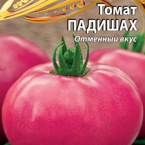 Томат «Падишах» — «царь царей» среди томатов! Томат «Падишах» — «царь царей» среди томатов!