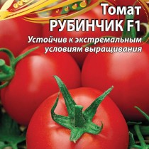 Томат «Рубинчик» — отличный урожай при любой погоде! Томат «Рубинчик» — отличный урожай при любой погоде!