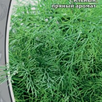 Укроп «Зелёное кружево» - витаминная зелень на вашем столе весь сезон! Укроп «Зелёное кружево» - витаминная зелень на вашем столе весь сезон!