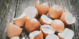 Яичная скорлупа — ваш незаменимый помощник на даче