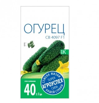 Огурец СВ 4097 Огурец СВ 4097