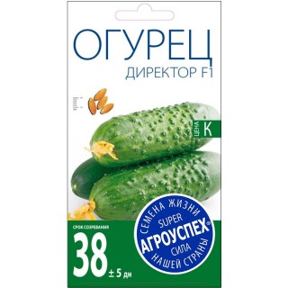 Огурец Директор F1 Огурец Директор F1