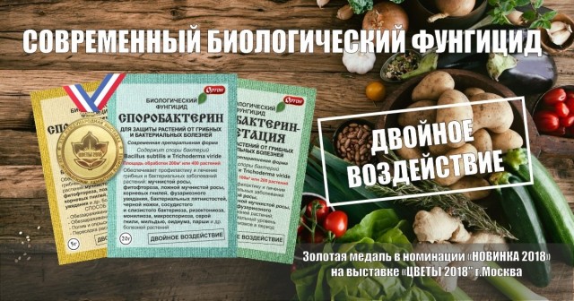 Болезнь проще предупредить, чем потом её лечить! Болезнь проще предупредить, чем потом её лечить!