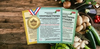 Споробактерин против болезней рассады