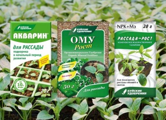 Недостаток комплекса элементов приведет к слабому развитию растений