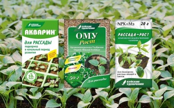 Недостаток комплекса элементов приведет к слабому развитию растений