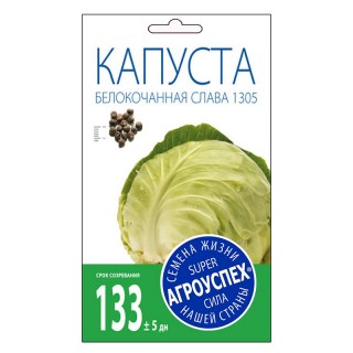 Капуста белокочанная «Слава 1305» Капуста белокочанная «Слава 1305»