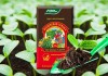 С землей с участка можно занести различные болезни и вредителей растений, что отрицательно скажется на качестве рассады