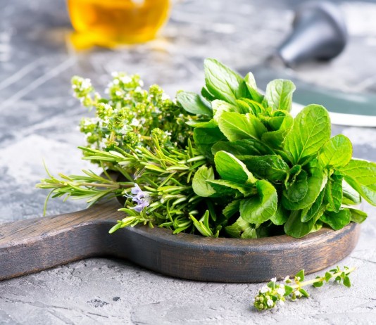 10 пряных растений, которые нужно выращивать, если любите готовить - Пряные травы и зелень 10 пряных растений, которые нужно выращивать, если любите готовить