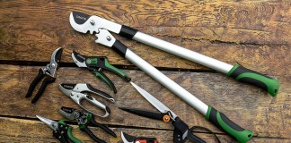 Обрезка плодовых после зимы - ООО «Лама Торф» Для правильной обрезки важен инструмент, который используется