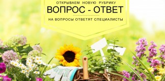 «Вопрос-ответ» — новая рубрика об удобрениях Буйского завода - Буйские удобрения «Вопрос-ответ» — новая рубрика об удобрениях Буйского завода