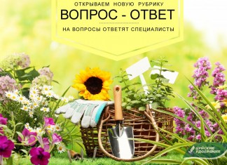 «Вопрос-ответ» — новая рубрика об удобрениях Буйского завода
