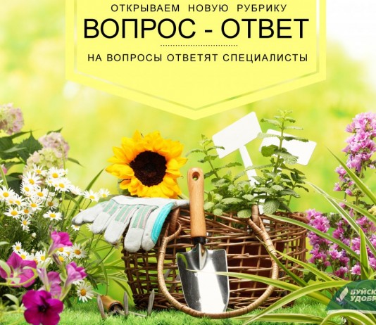 «Вопрос-ответ» — новая рубрика об удобрениях Буйского завода - Буйские удобрения «Вопрос-ответ» — новая рубрика об удобрениях Буйского завода