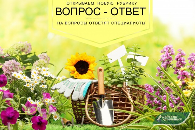 «Вопрос-ответ» — новая рубрика об удобрениях Буйского завода