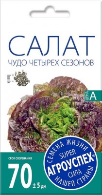 Салат «Чудо четырех сезонов» Салат «Чудо четырех сезонов»