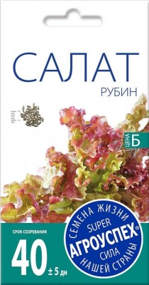 Салат «Рубин» Салат «Рубин»