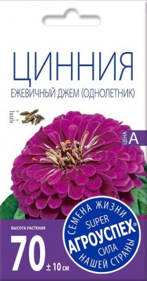 Цинния «Ежевичный джем» Цинния «Ежевичный джем»