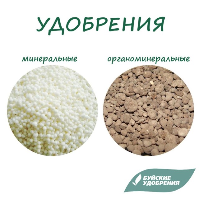 ОМУ не обжигает корневую систему растения, даже, если его положили под корень больше, чем необходимо ОМУ не обжигает корневую систему растения, даже, если его положили под корень больше, чем необходимо