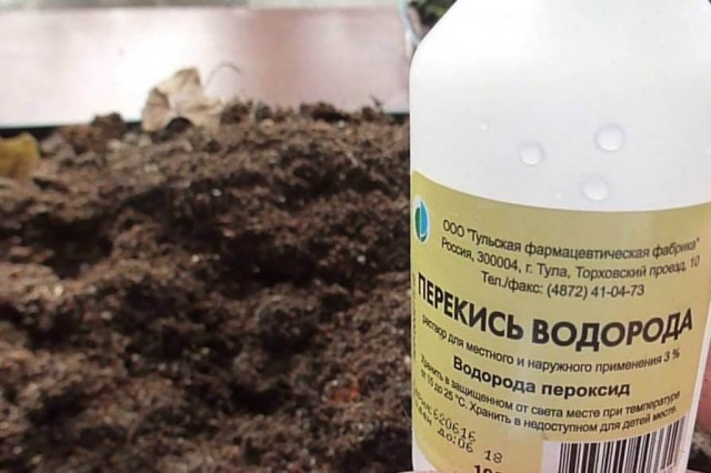 Перекись водорода значительно улучшает аэрационные свойства почвы Перекись водорода значительно улучшает аэрационные свойства почвы