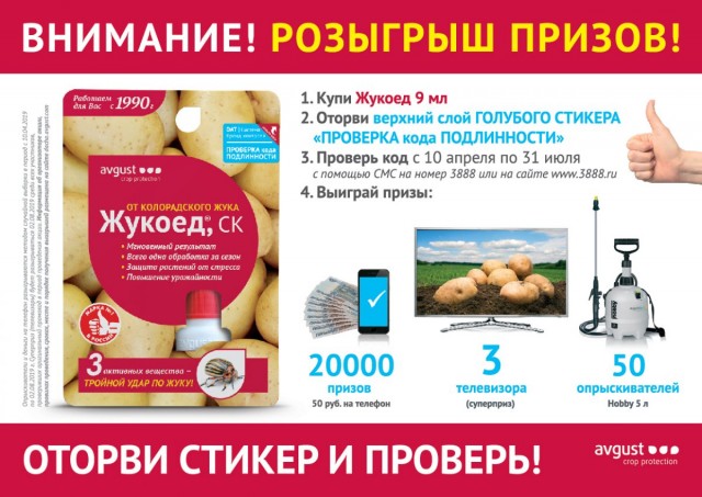 Акция от фирмы «Август» Акция от фирмы «Август»