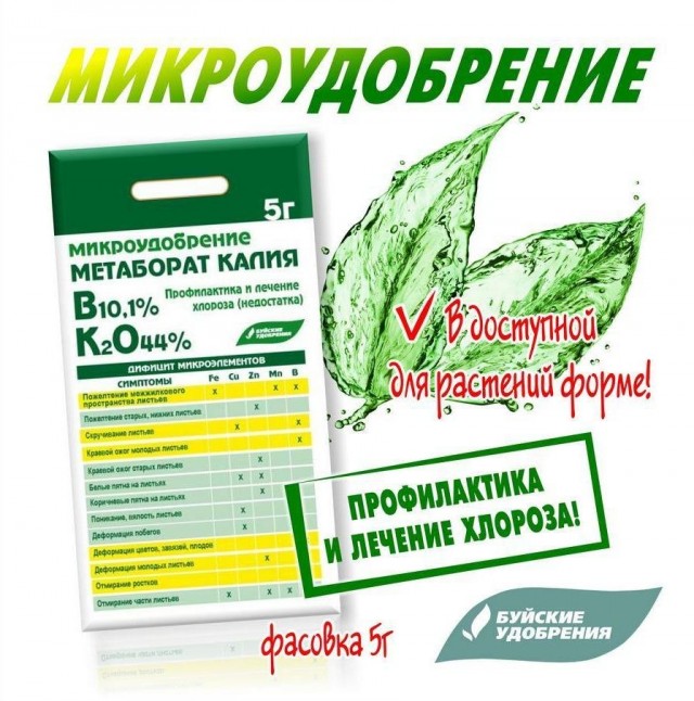 Метаборат калия избавит ваши растения от хлороза Метаборат калия избавит ваши растения от хлороза