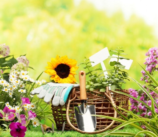 «Акварин» — лучшие корректирующие подкормки в течение вегетации