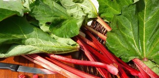 Ревень — вкусные черешки, целебный корень