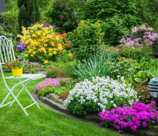 Цветник — правильно ухаживаем и защищаем от болезней и вредителей
