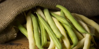 Спаржевая фасоль — разнообразие сортов и особенности выращивания