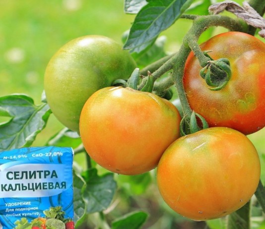 Зачем нужна кальциевая селитра? - Буйские удобрения Кальций – необходимый для всех растений, без исключения, элемент